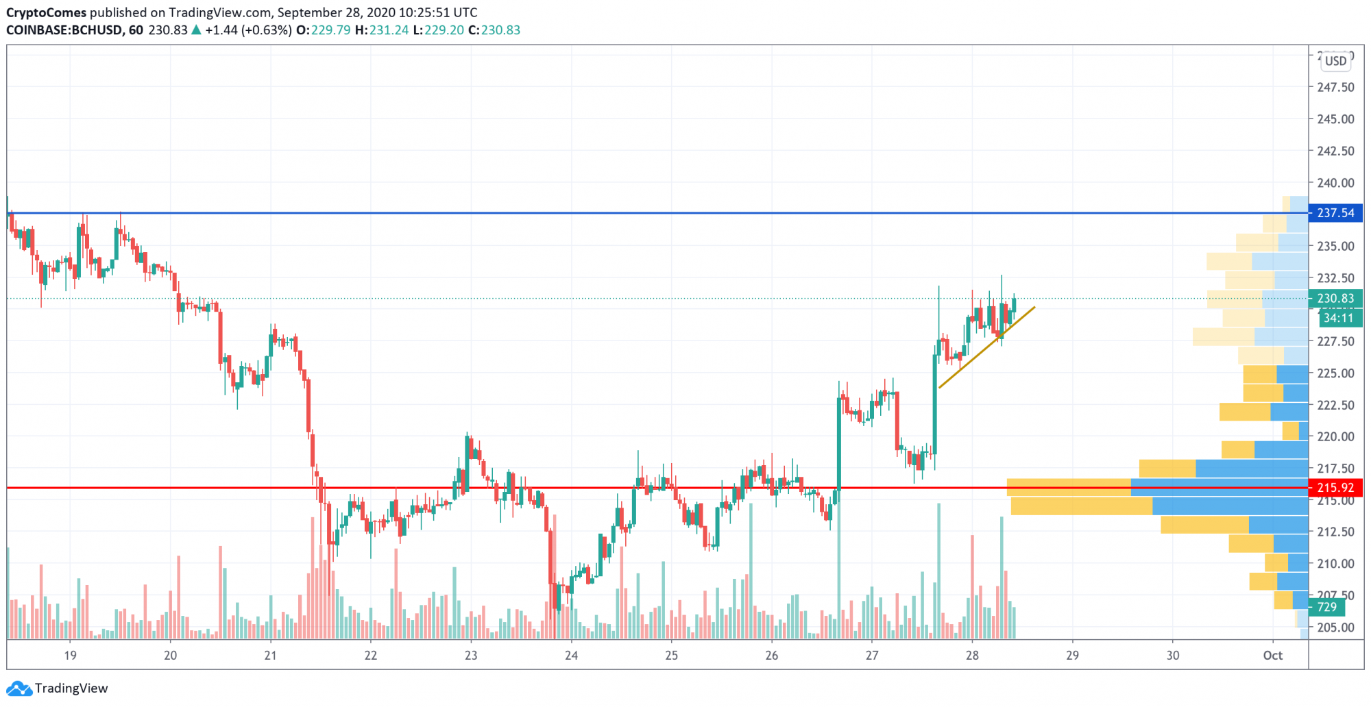 bitcoin cash price chart bch usd coingecko